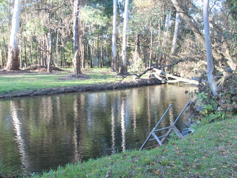 44 Mareeba Avenue, Buxton VIC 3711