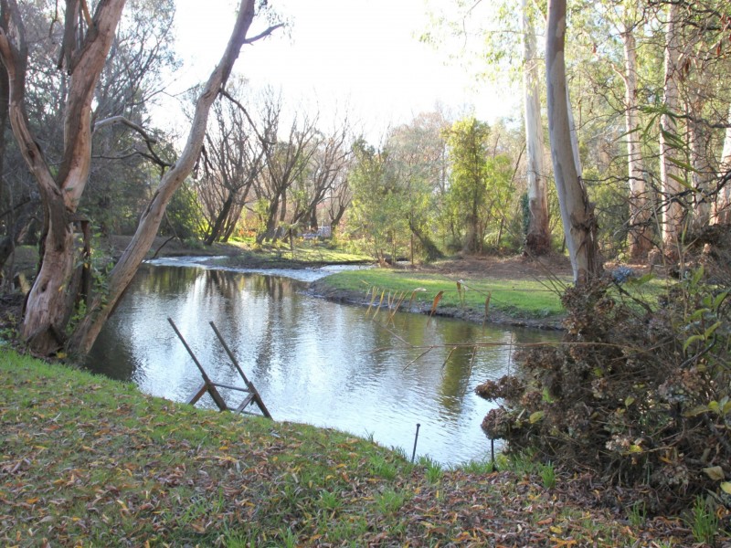 44 Mareeba Avenue, Buxton VIC 3711