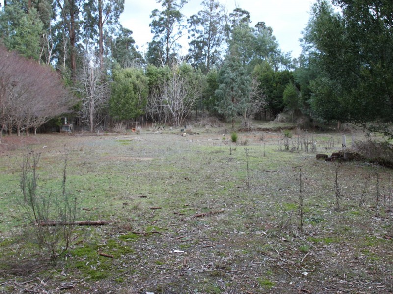 532 Marysville Road, Narbethong VIC 3778