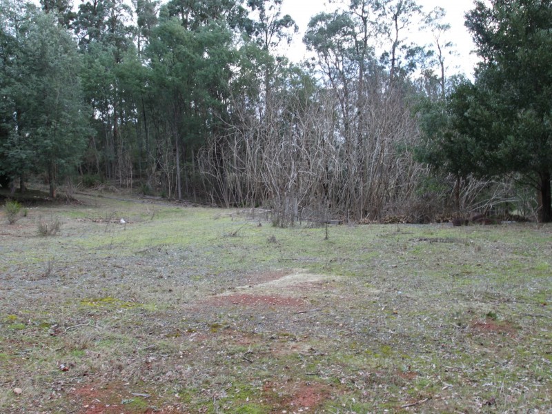 532 Marysville Road, Narbethong VIC 3778