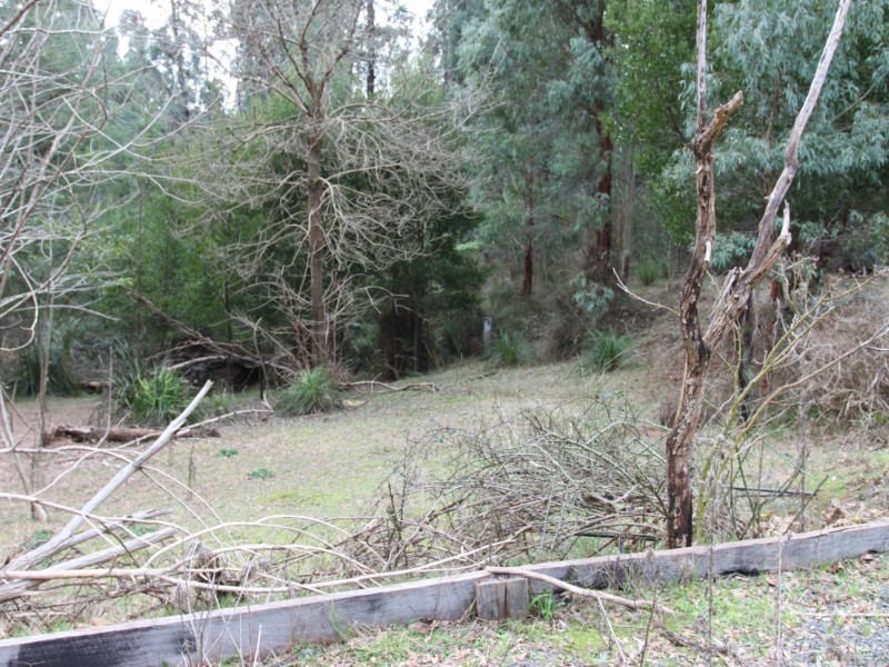 532 Marysville Road, Narbethong VIC 3778