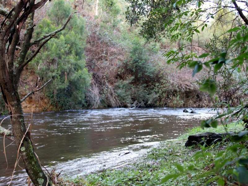 38 Mareeba Avenue, Buxton VIC 3711