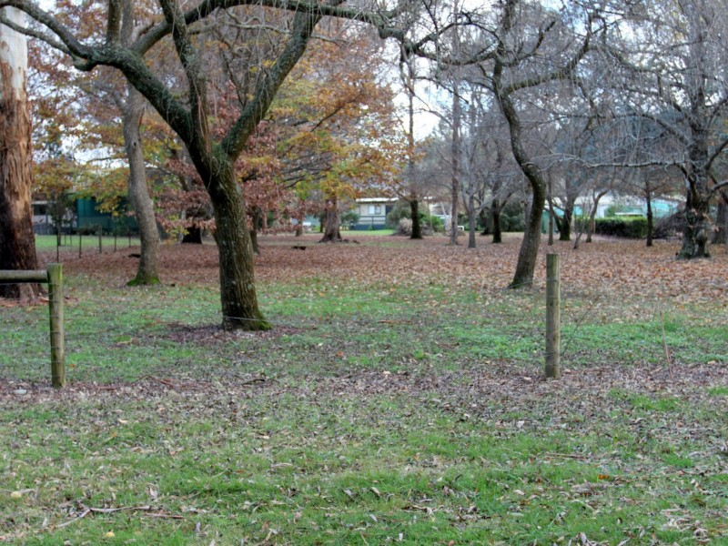 38 Mareeba Avenue, Buxton VIC 3711