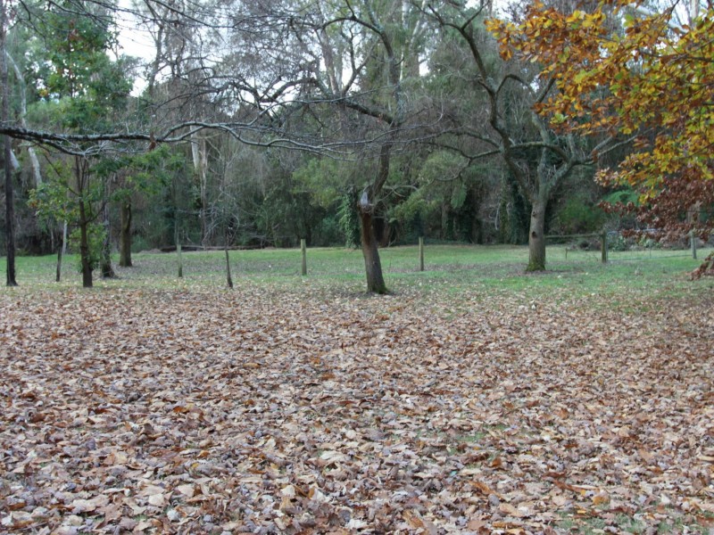 38 Mareeba Avenue, Buxton VIC 3711