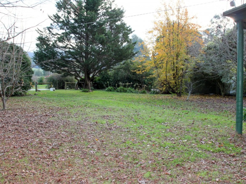 38 Mareeba Avenue, Buxton VIC 3711