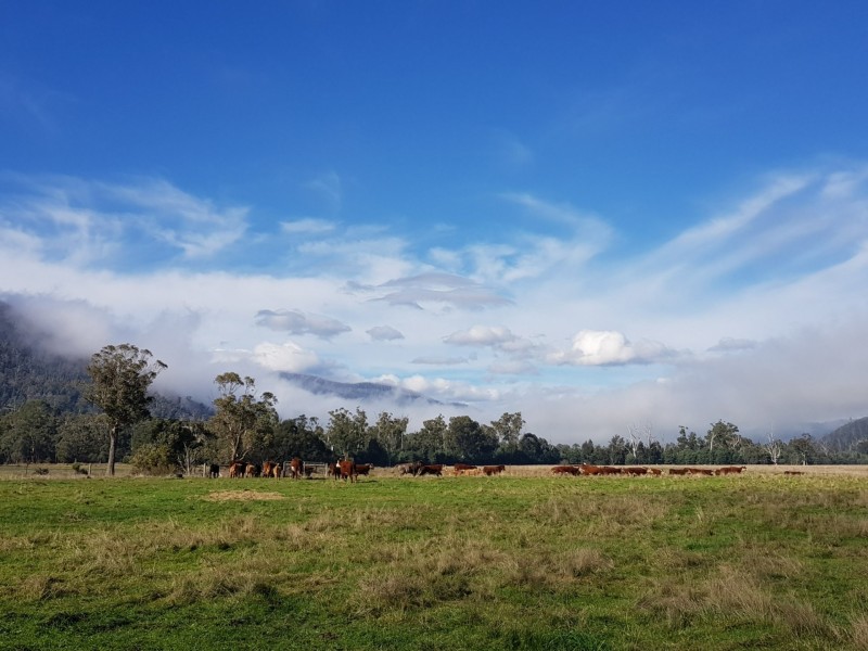 2072 Maroondah Highway, Buxton VIC 3711