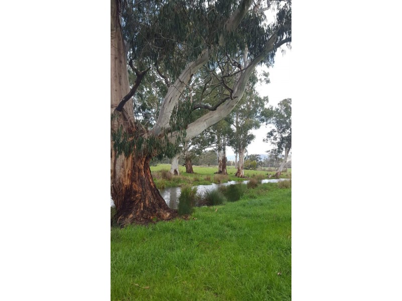 2072 Maroondah Highway, Buxton VIC 3711