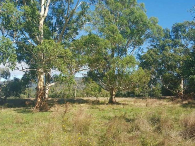 2072 Maroondah Highway, Buxton VIC 3711