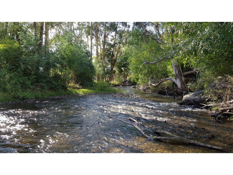 2072 Maroondah Highway, Buxton VIC 3711