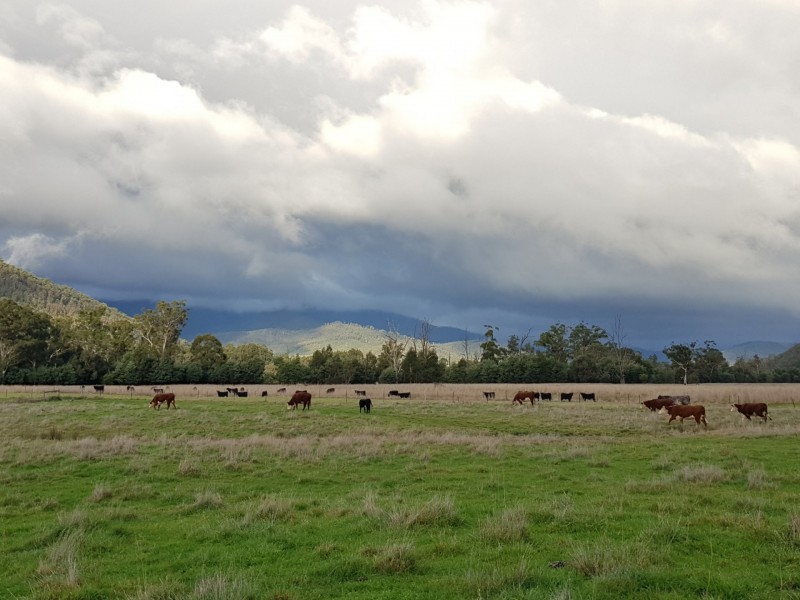 2072 Maroondah Highway, Buxton VIC 3711