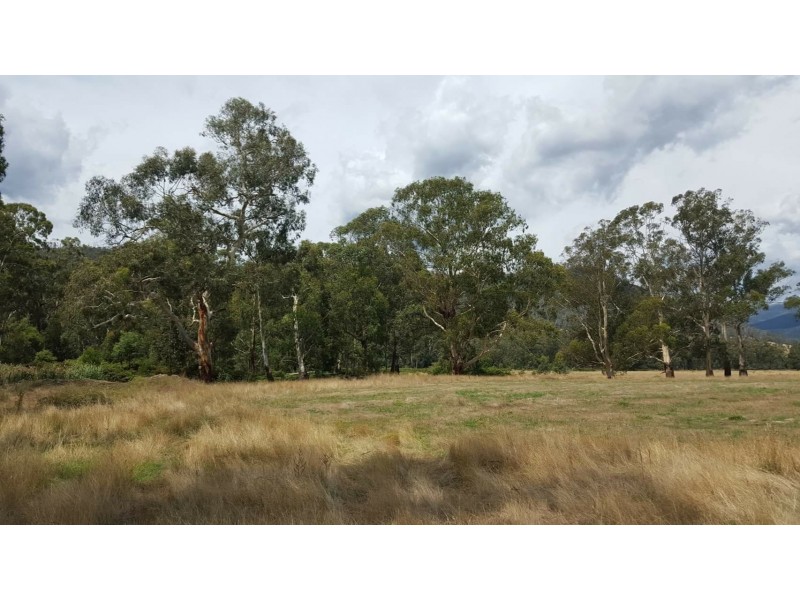 2072 Maroondah Highway, Buxton VIC 3711