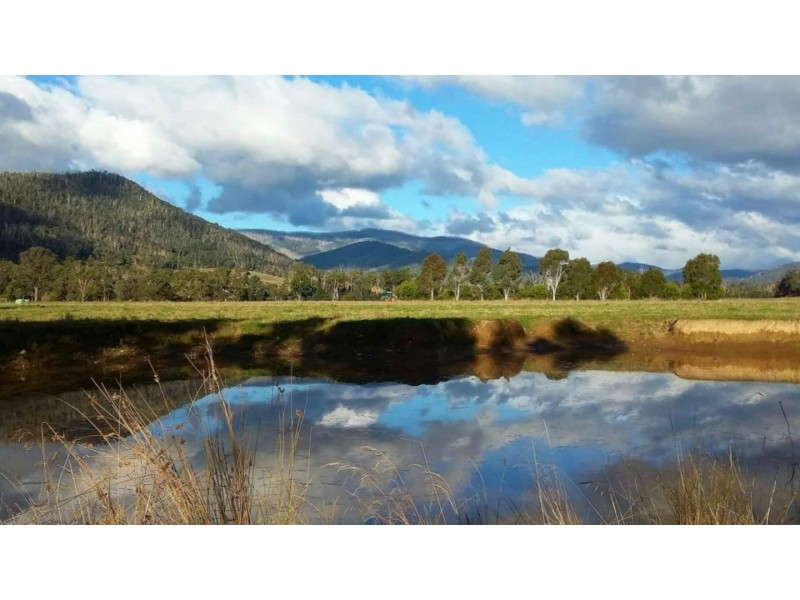 2072 Maroondah Highway, Buxton VIC 3711