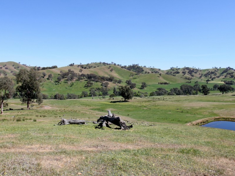 Part 854 Spring Creek Road, Fawcett VIC 3714