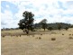 Part 854 Spring Creek Road, Fawcett VIC 3714