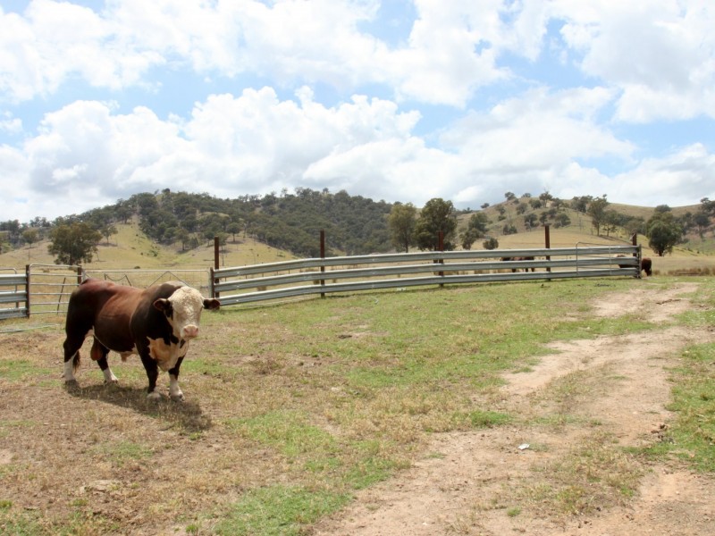 Part 854 Spring Creek Road, Fawcett VIC 3714
