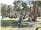 6 Hill Court, Eildon VIC 3713