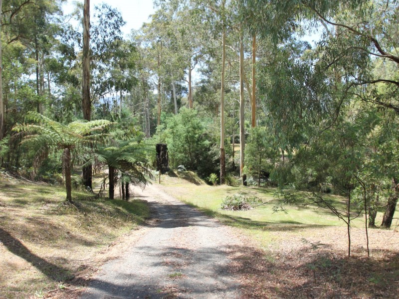 117 Passings Road, Buxton VIC 3711