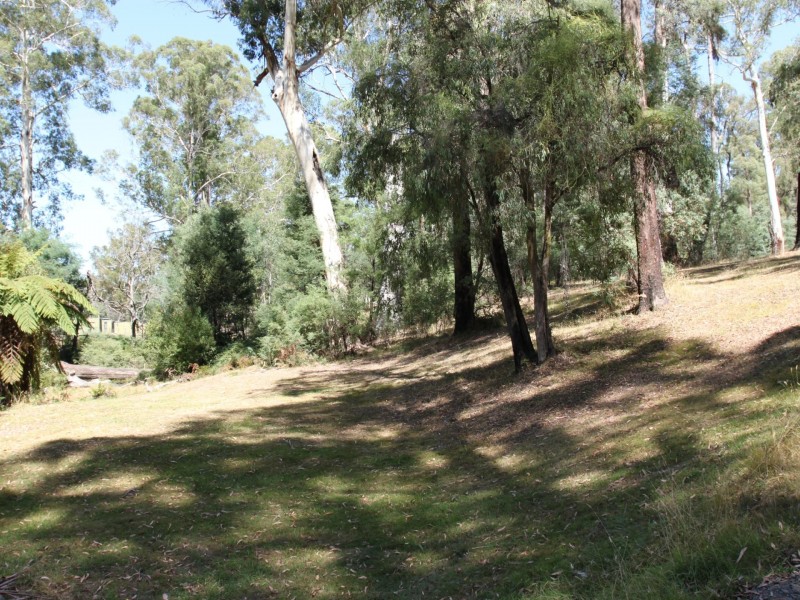 117 Passings Road, Buxton VIC 3711