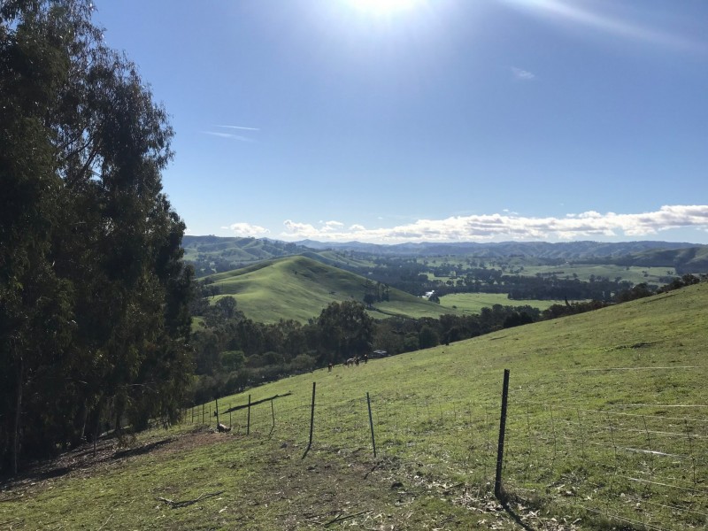 368 Acheron Road, Acheron VIC 3714