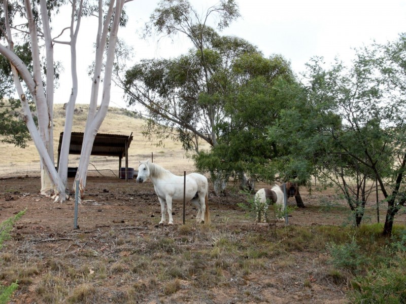 368 Acheron Road, Acheron VIC 3714