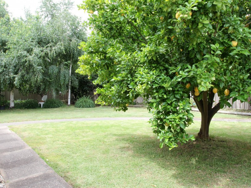 33 Rose Street, Alexandra VIC 3714