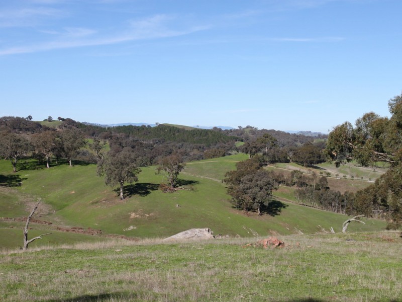 62 Old Gobur Rd, Yarck VIC 3719