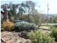 62 Old Gobur Rd, Yarck VIC 3719