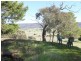 62 Old Gobur Rd, Yarck VIC 3719