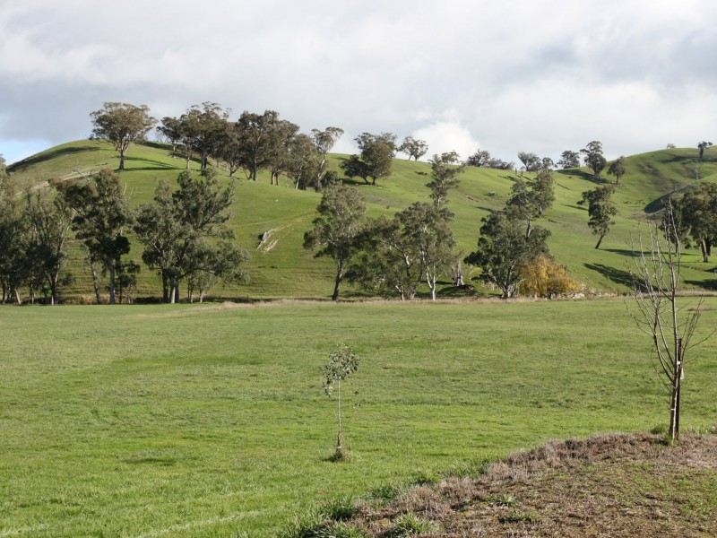 353 Spring Creek Road, Fawcett VIC 3714