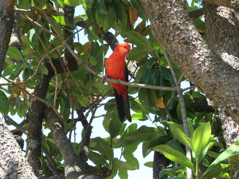 3 Eighth Street, Eildon VIC 3713