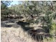 1202 Yarck Road, Yarck VIC 3719