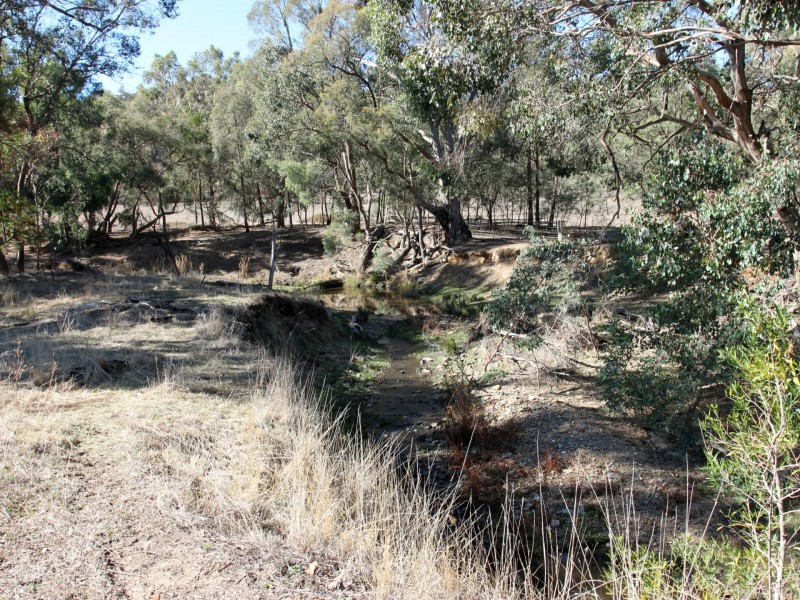 1202 Yarck Road, Yarck VIC 3719