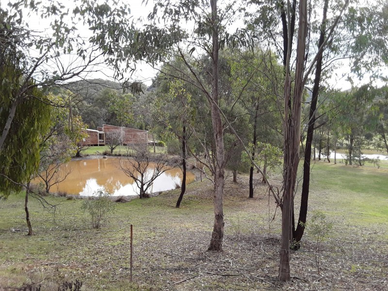 111 Alford Avenue, Eildon VIC 3713
