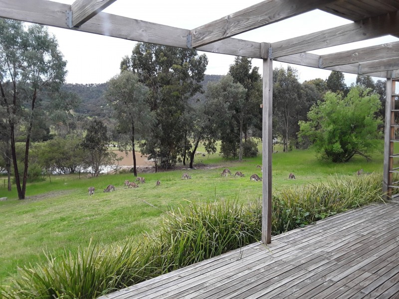 111 Alford Avenue, Eildon VIC 3713