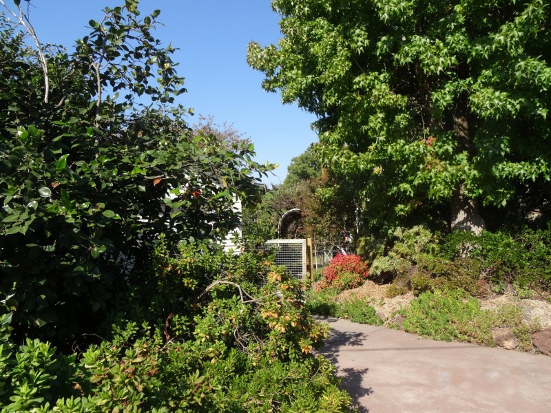 59 Cooper Street, Alexandra VIC 3714