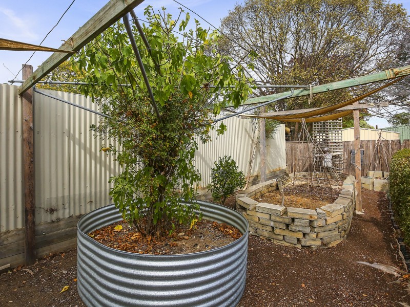 95 Bayley Street, Alexandra VIC 3714