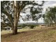 3 Redgate Place, Alexandra VIC 3714