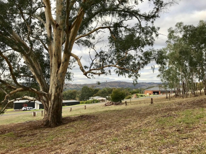 3 Redgate Place, Alexandra VIC 3714