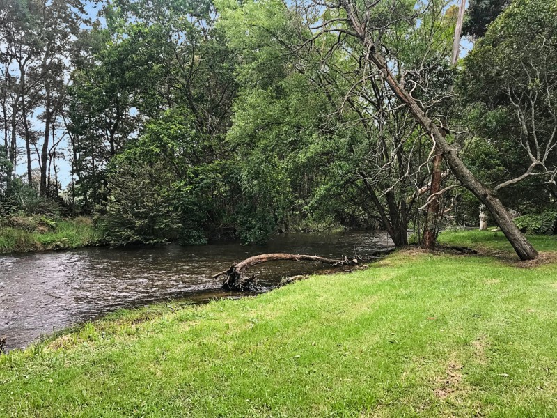 1 Mimosa Court, Buxton VIC 3711