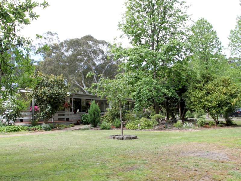 1 Mimosa Court, Buxton VIC 3711