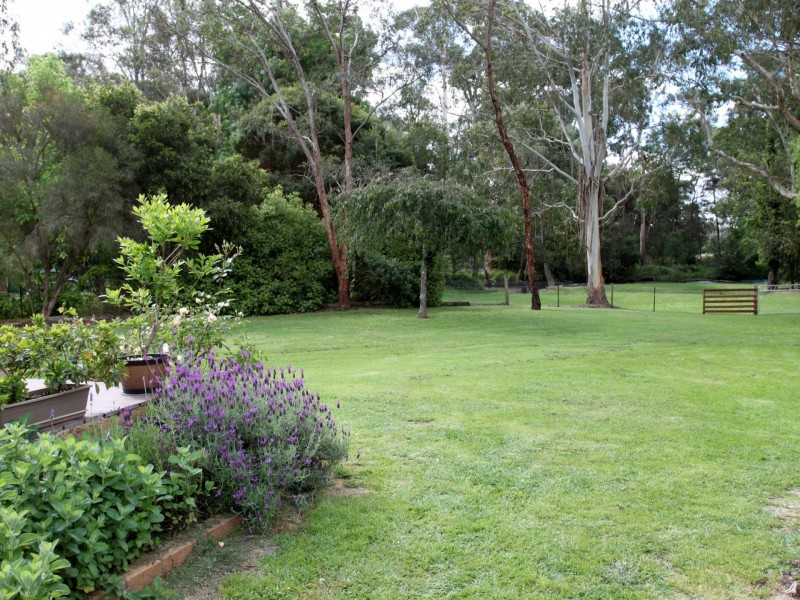 1 Mimosa Court, Buxton VIC 3711