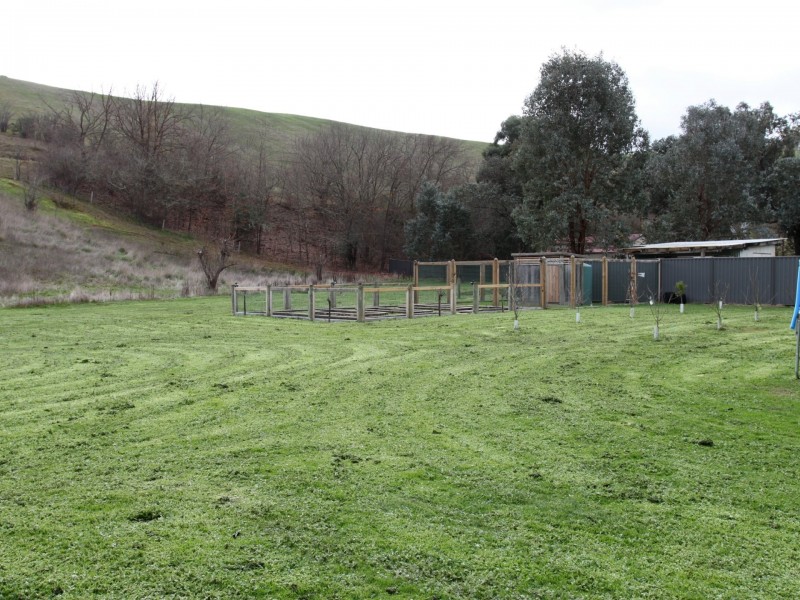 17 Peterkin Street, Alexandra VIC 3714