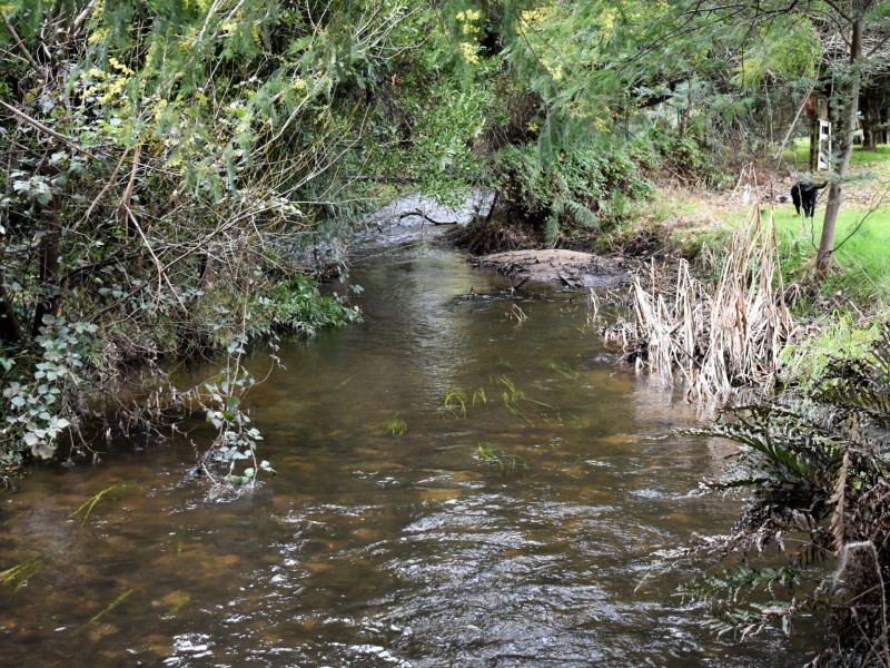 5 Steavenson Road, Buxton VIC 3711