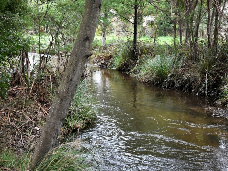 5 Steavenson Road, Buxton VIC 3711