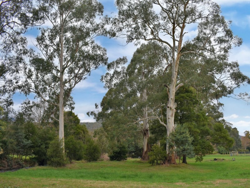 5 Steavenson Road, Buxton VIC 3711