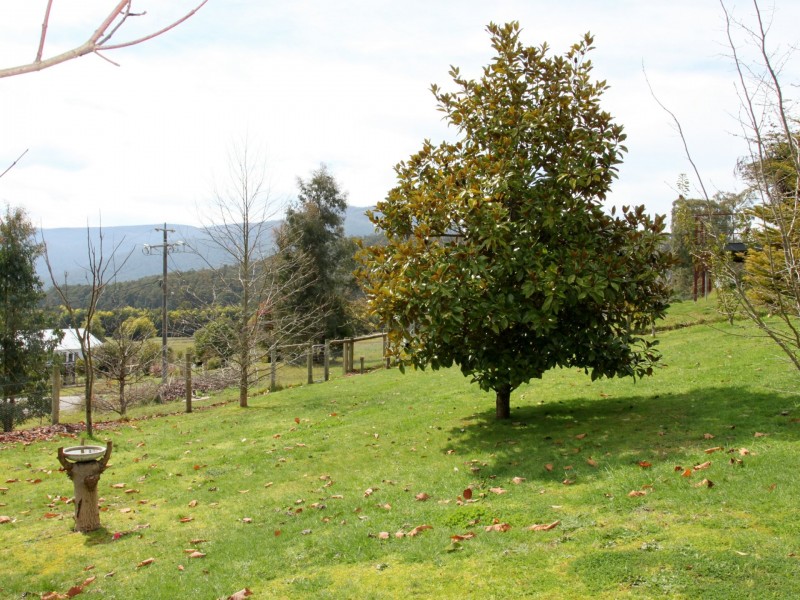 47 Sunds Road, Marysville VIC 3779