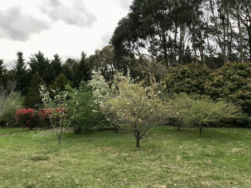 6 Cameron Close, Buxton VIC 3711