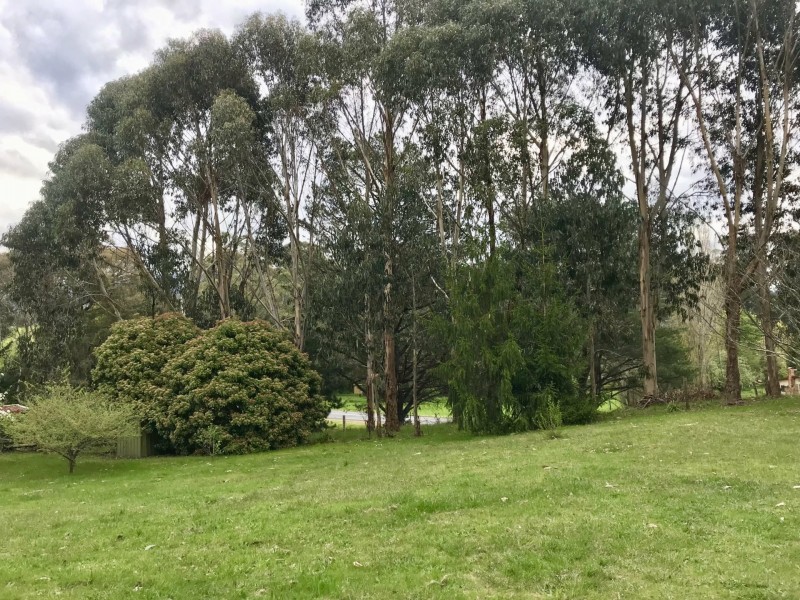 6 Cameron Close, Buxton VIC 3711