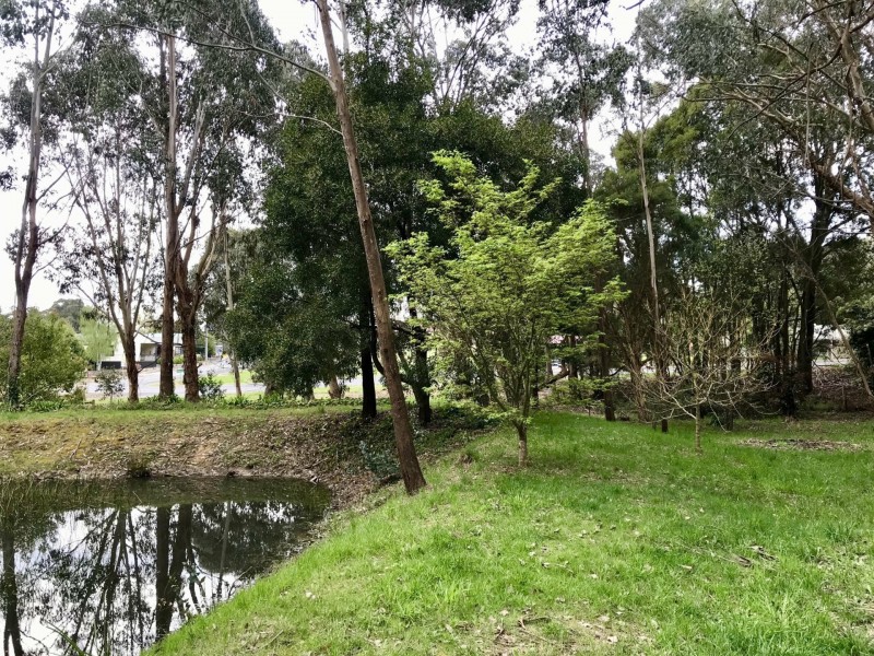 6 Cameron Close, Buxton VIC 3711