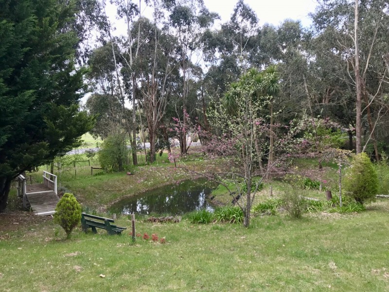 6 Cameron Close, Buxton VIC 3711